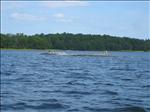 Sweden 2007-08 199